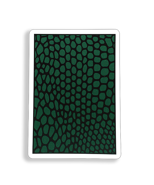 #MYNOC 5: (Snake)