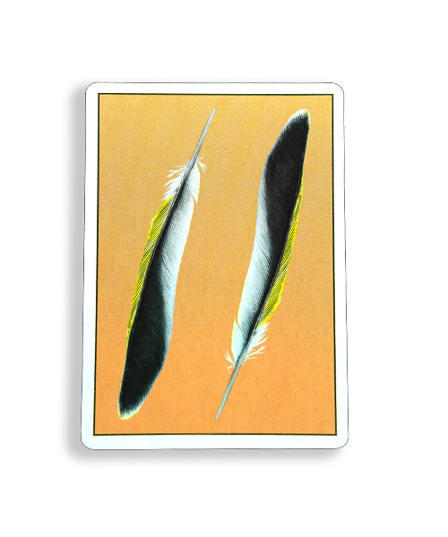 The Feather Deck: Goldfinch (Gold)
